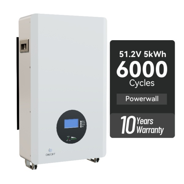 51.2V 48V 100ah 400ah Lifepo4 Energy Powerwall IP65 20kwh Lithium Battery Solar System Wall Mount Floor Home Storage Battery