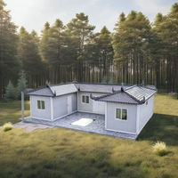 Nouvelle conception de maison préfabriquée en kit, maison conteneur préfabriquée détachable de 20 pieds avec toit en pente pour cour