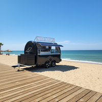 JLD JLD-001 Remolque de Comida para Helados de Acero Inoxidable para Exteriores con Certificación CE, Reducción de Ruido, Eléctrico 12V-24V, 1 Año de Garantía Completa