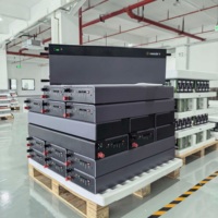 ASGOFT Stock UE Batterie BYD Blade 30 kWh 31,32 kWh LiFePO4 Stockage d'énergie solaire domestique 153 Ah Batterie au lithium Livraison DPD 3-7 jours