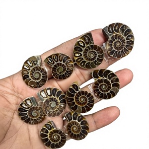 Tranches de Fossile d'Ammonite Naturelle de Haute Qualité - Certifiées par un tiers - Taille personnalisable - Fournitures pour la fabrication de bijoux - FIJAN GEMS - Product Image 1