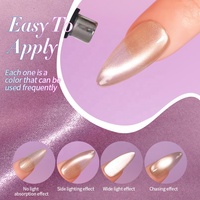 R S Nail OEM ODM Vernis à ongles gel UV œil de chat en verre 15g, durcissement LED, style français, 12 couleurs personnalisables, professionnel, écologique