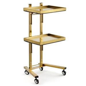 Modern Golden Hair Salon Stainless Steel Beauty Stool Cart <b>Trolley</b> for Sale - Product Image 1