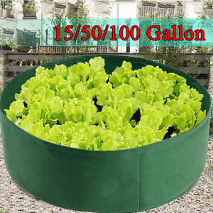 Sac de culture en feutre pour pommes de terre et tomates, style le plus récent, 10 gallons, avec fenêtre, support de pot de culture en tissu avec trous - Product Image 4