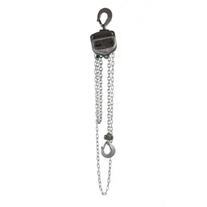 Stainless steel chain block hoist 3 ton manual hand chain block