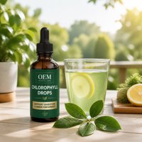 Complément alimentaire en gouttes de chlorophylle liquide, chlorophylle sans sucre avec saveur menthe naturelle, complément alimentaire, usine GMP personnalisée