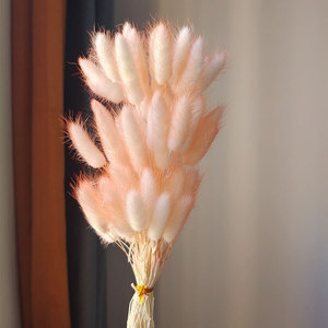 Haute Qualité Artificielle Tournesol Lapin Herbe Séché Queues De Lapin <span class=keywords><strong>Lagurus</strong></span> Pampas Fleurs Décoration Murale pour Noël Pâques Chinois - Product Image 6