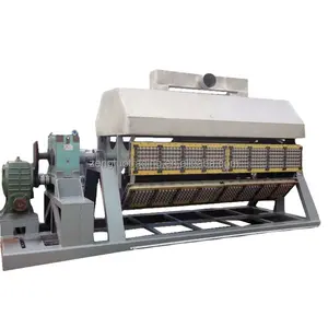 China Best factory fast delivery and installation paper pulp egg tray egg box forming machine