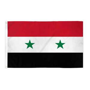 Trực Tiếp Bán Buôn Nhà Máy Giá Cho Philippines Cờ Và Thế Giới Quốc Gia Quốc Gia Cờ Tất Cả Các Loại Phong Cách Khác Nhau Có Sẵn - Product Image 4