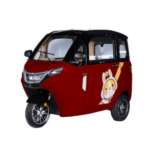 Mini voiture <span class=keywords><strong>3</strong></span> <span class=keywords><strong>roues</strong></span> EEC COC Tricycle électrique Voiture Cabine fermée Prix d'usine Chine - Product Image 4