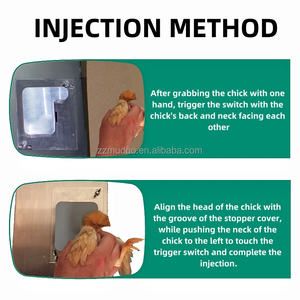 Inyector eléctrico de vacunas para aves de corral, dosis automática, <span class=keywords><strong>jeringa</strong></span> veterinaria ajustable para pollo, pato, pájaro - Product Image 5