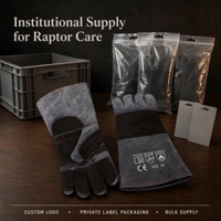 Gants de manipulation des animaux robustes en cuir de vachette renforcé de Kevlar, antidérapants et résistants aux coupures, pour le sauvetage des faucons et des reptiles