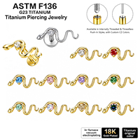 G23 ASTM-F136 Titanium Cubic Zircon Piercing Tragus Helix Conch Daith Lobe Flat Back Earrings Internal Thread Push Pin Labret