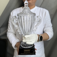 Trophées en cristal de haute qualité ADL pour souvenirs, artisanat en cristal, cadeaux, trophées de grande taille, trophées de champion