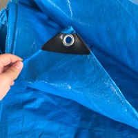 Bâche PE imperméable pour abri de jardin, protection de plantes, bâche de protection pour bateaux et camions, couverture d'ombrage imperméable, rouleau de tissu imperméable