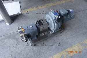 Pompe de transfert à lobes rotatifs en acier inoxydable de qualité alimentaire Ace Factory Sale - Product Image 6