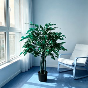 Majestuoso bonsái de árbol de banyan preservado con raíces aéreas para rincón zen y acento de paisaje tropical - Product Image 6