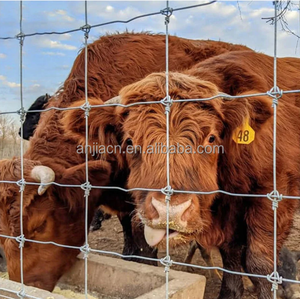 Clôture de champ en treillis métallique noué galvanisé 8 pieds Veld Span 100m Clôture de ferme à vendre - Product Image 4