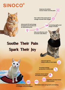 New LED Red Light Therapy Infrared Dog&amp;<strong>Cat</strong> <strong>Clothes</strong> Veterinary Animal Pain Relief Therapy Coat for Pet Whole Body 660nm 850nm - Product Image 2