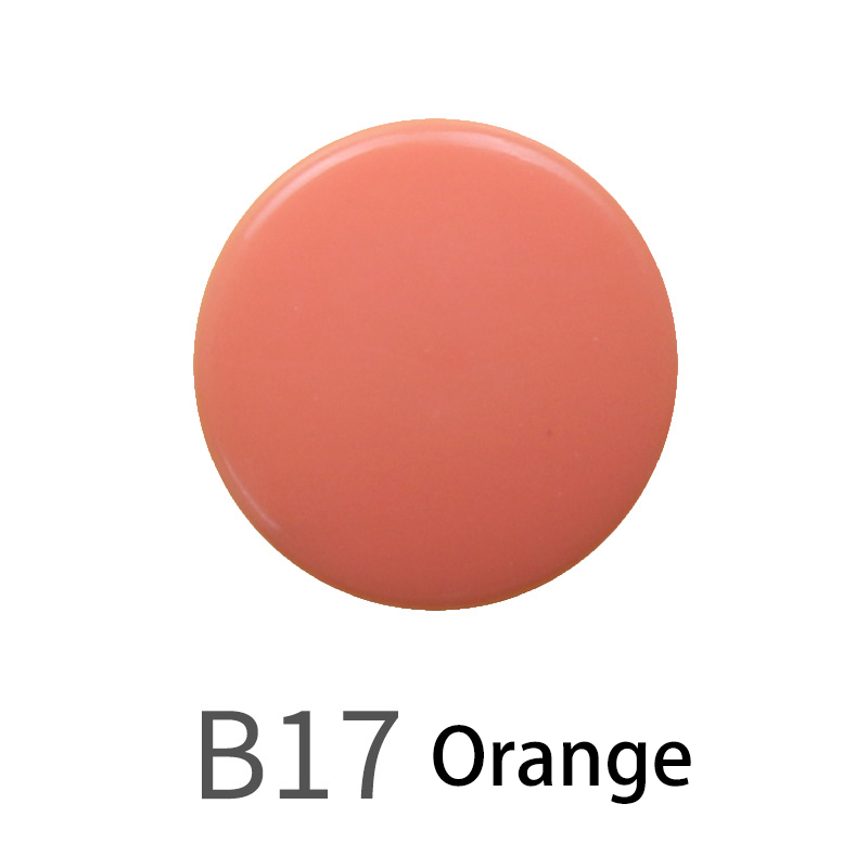 B17