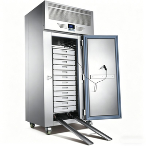 Single Door Trolley Blast Freezer Stainless Steel Fast Quick Freezing Cabinet For Small Catering Bakery Seafood Meat Freezing - Product Image 5