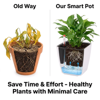 Pot Bunga Mini Persegi Resin Self-watering Bernapas, Desain Sederhana Transparan Cahaya, Lapisan Enamel Panggang, Warna Polos