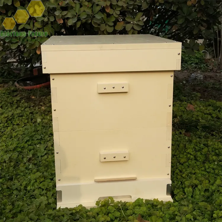Glorious Perlengkapan Masa Depan untuk Sarang Lebah, Semua Jenis Peralatan Sarang Lebah dari Plastik