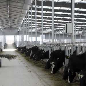 מבנה פלדה חסכוני בקר מחלב בקר המשמש לגידול בקר וחלב משק חלב - Product Image 2