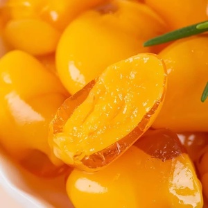 Bonbons gélifiés aux <span class=keywords><strong>fruits</strong></span> mélangés 103g multicolores sucrés |   Sandwich à la <span class=keywords><strong>pâte</strong></span> <span class=keywords><strong>de</strong></span> mangue, pêche et peau <span class=keywords><strong>de</strong></span> raisin |   Emballé individuellement pour l'école - Product Image 3