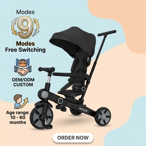 <span class=keywords><strong>Tricycle</strong></span> multifonctionnel pour tout-petits, bébés et enfants, <span class=keywords><strong>tricycle</strong></span> à 3 roues, vélo pour enfants, <span class=keywords><strong>tricycle</strong></span> pour bébés, <span class=keywords><strong>tricycle</strong></span> pour enfants, <span class=keywords><strong>9</strong></span> en 1 - Product Image 1