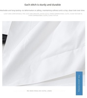 Parure de lit de luxe 80S*80S 400T 100% coton pur blanc uni pour hôtels et complexes haut de gamme cinq étoiles – Commandes en gros