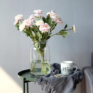 Florero de Vidrio Hidropónico Moderno, Florero Decorativo de Vidrio para Escritorio, Venta al por Mayor - Product Image 3