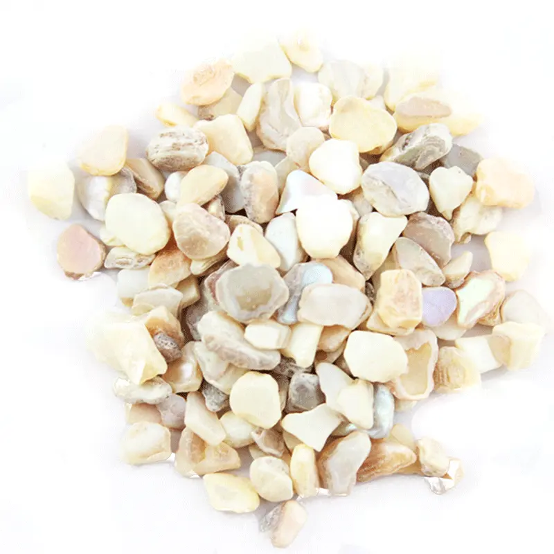 Crushed Sea Shell Parelmoer Voor Terrazzo