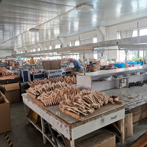 Modèle anatomique de quatre membres Modèle de <span class=keywords><strong>squelette</strong></span> anatomique humain en plastique pour la science médicale - Product Image 5