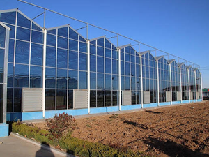 Invernadero de Vidrio Comercial Multiusos, Sistema de Cultivo Agrícola de Alto Rendimiento, Resistente al Viento y la Nieve - Product Image 1