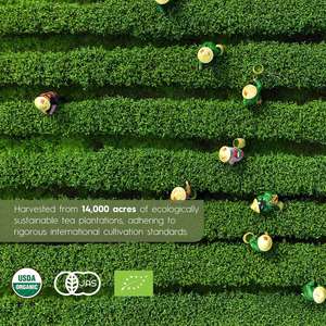 Odm/oem פרטי תווית סופר מזון אורגני מזון סיבי סופר ירקות סופר ירקות ירקות סופר - Product Image 4