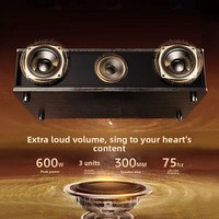 Sistema de Sonido Karaoke para el Hogar, Micrófono Inalámbrico, Kit de Selección de Canciones