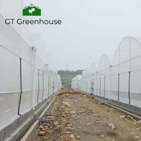Serre Agricole GT Grande Serre Commerciale pour l'Agriculture