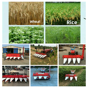 Moissonneuse-lieuse pour céréales, blé, riz, sésame, colza, batteuse, coupeuse, <span class=keywords><strong>prix</strong></span>, usage agricole et domestique - Product Image 6