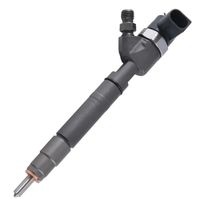 0445110072 Nuevo Inyector Common Rail Diésel Marca OEM 1 Año de Garantía Reemplazo/Reparación Acero Inoxidable Ajuste Universal Henan para
