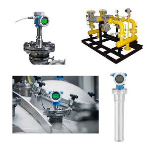 เครื่องวัดระดับแบบไร้สัมผัสชนิดติดตั้งบนแท่น (Skid-mount) ยี่ห้อ Endress+Hauser รุ่น Gammapilot FMG50 Compact FMG50 ของจีน - Product Image 2