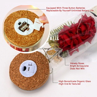 Mawar Beludru dengan Lampu LED untuk Hadiah Natal dan Hari Valentine, Bunga Mawar Berkepala Dua dalam Kubah Kaca, Promo Panas