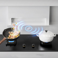Table de cuisson encastrable à gaz double brûleur, classe A+ en termes d'efficacité énergétique, dispositif de sécurité anti-extinction de flamme, support en fonte pour casseroles, pour usage domestique