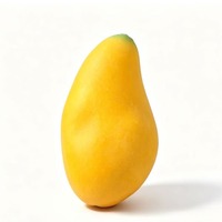 Jouet Squishy Réaliste Géant en Forme de Fruit, Jaune Dégradé, Dessus Vertâtre, Texture Fine Peau de Mangue, Corps Rouge Rosé, Pointes Vertes Écailleuses