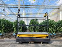 Chariot de cueillette électrique automatique sur rail pour tomates et poivrons, élévateur de récolte pour serres multi-spans