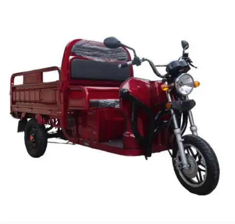 Venta caliente China tres ruedas E-Bike adulto triciclo motocicleta camión