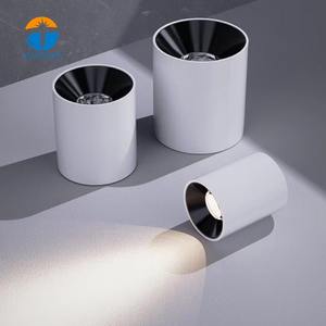 Venta Directa de Fábrica: Luminaria LED COB Moderna de Aluminio Fundido a Presión, Montaje en Superficie, 10W-30W - Product Image 1