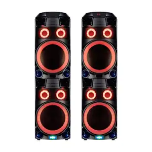 T OEM ODM produttore 2*100W doppio 12 pollici portatile Party DJ Wireless altoparlante Trolley con ingresso Aux In/USB/chitarra