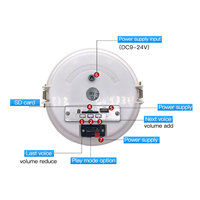Haut-parleur audio de capteur de mouvement de corps infrarouge de plafond Mini amplificateur intégré avec l'audio de téléchargement de port USB