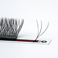 Faux Cils Professionnels en Forme de W avec Logo Personnalisé, Faits Main, Naturels, Volumineux, Doux, en Cheveux Synthétiques Mixtes, Réutilisables
